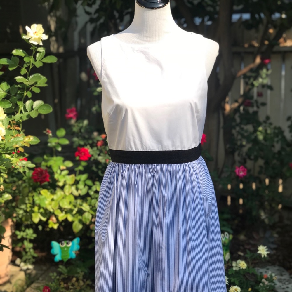 LOFT Cotton Sleeveless Sheath